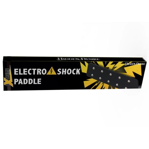 Hidden Desire Electro Shock Paddle from Nice 'n' Naughty