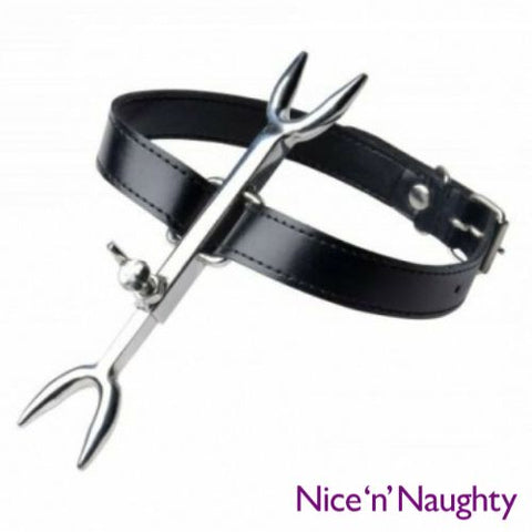 Nice 'n' Naughty Heretic Fork Torture Collar Stainless Steel from Nice 'n' Naughty